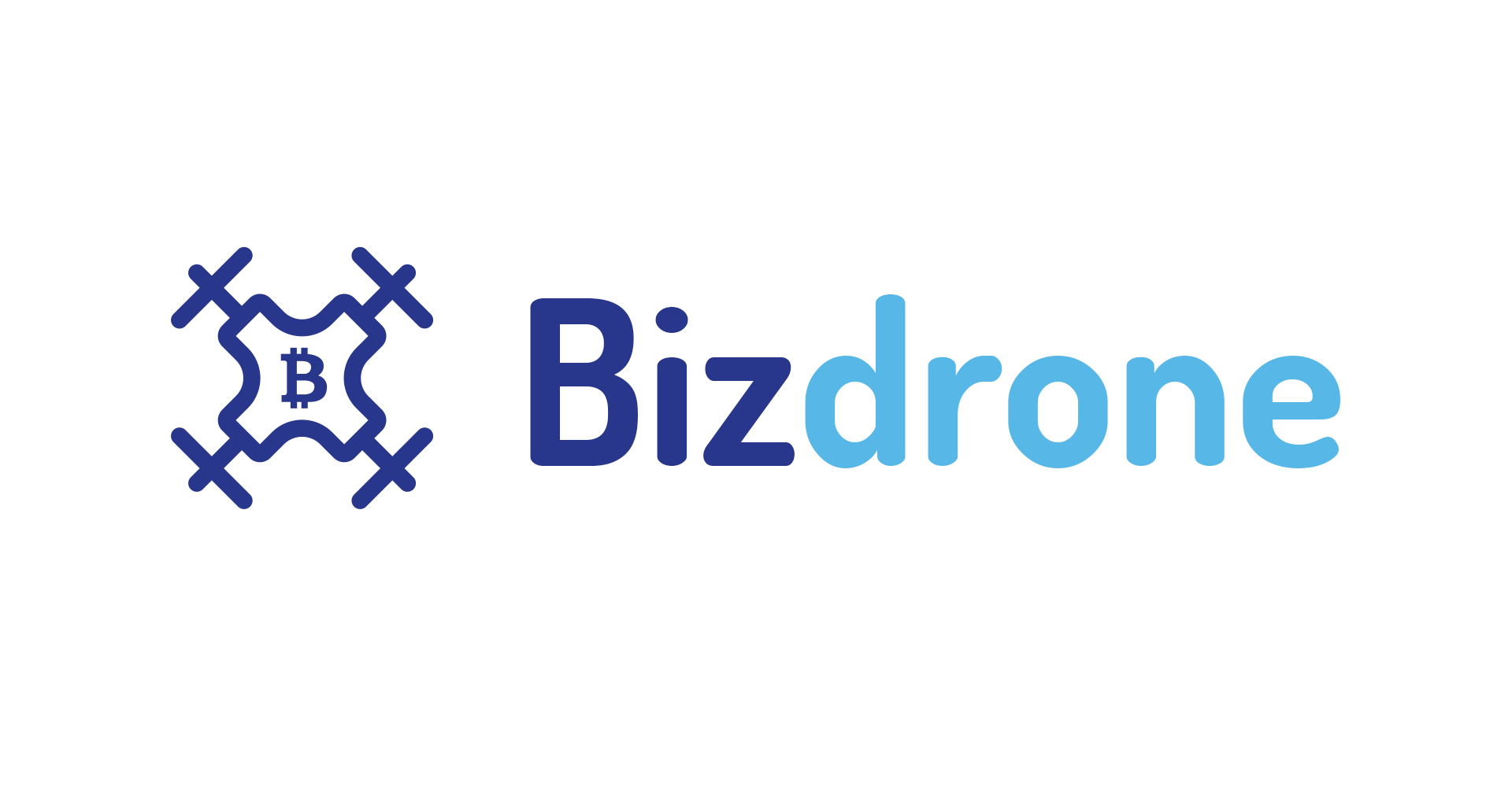 install bizDrone