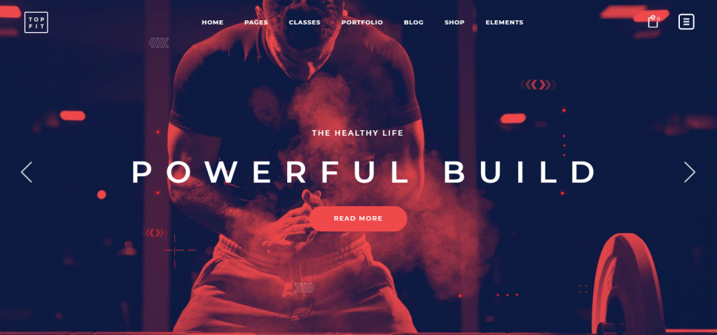 WordPress Themes for Health Care Center